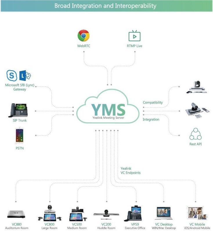 Ключ активации, YMS Monitoring license 1 monitoring license (1-year AMS)