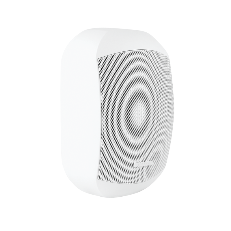 MASK4CT-W Двухполосный корпусный громкоговоритель Biamp