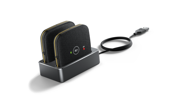 CPW65 Комплект из 2-х микрофонов 