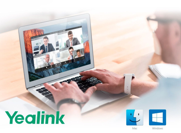 VCD Yealink VC Desktop