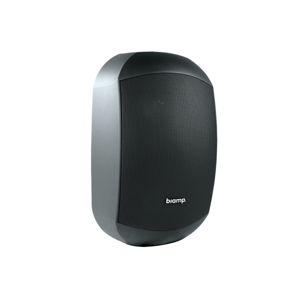 MASK6CT-BL Двусторонний корпусный громкоговоритель Biamp